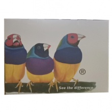 優(yōu)派一體機L24電腦一體機家用辦公臺式主機i5i7網吧游戲8G直面